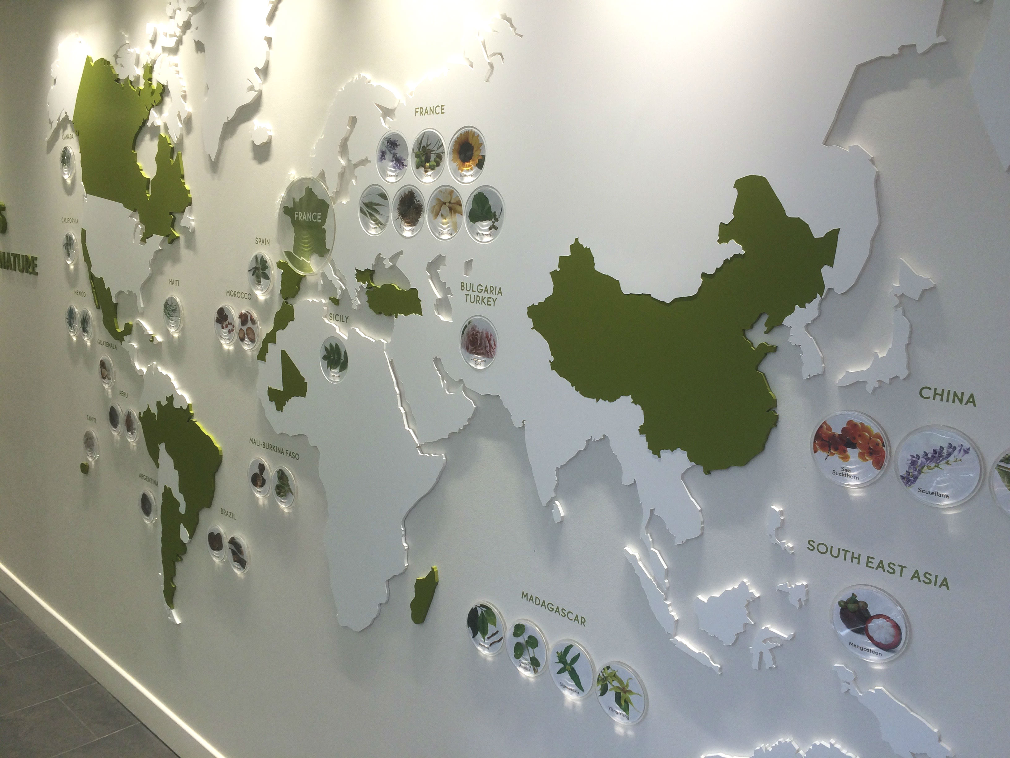 Carte du monde en pmma peint et loupes en plexi usiné