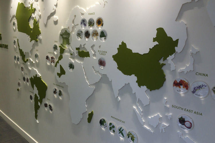 Pluxi réalise une carte du monde en altuglas pour Yves Rocher